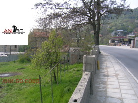 ����� ������� ������,���� �����, ����� ������