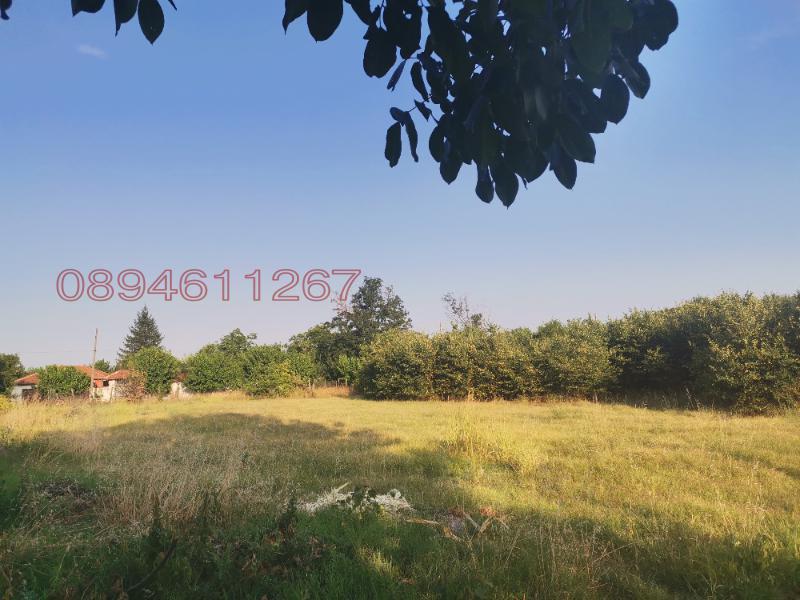 На продаж  Сюжет область Пловдив , Татарево , 1500 кв.м | 68996657 - зображення [4]