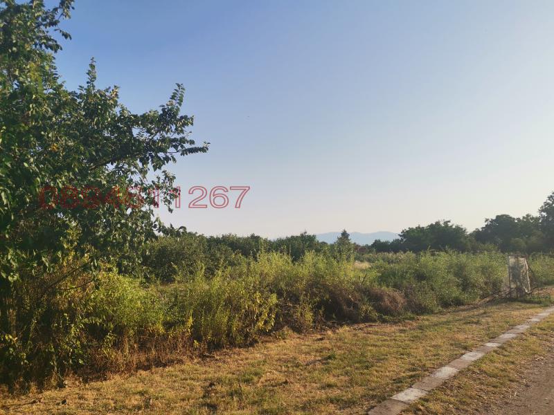 На продаж  Сюжет область Пловдив , Татарево , 1500 кв.м | 68996657 - зображення [7]