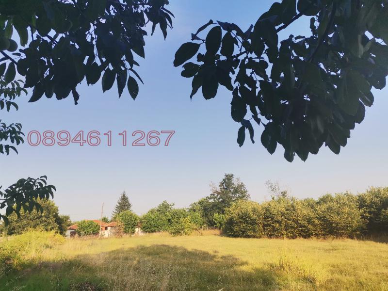 На продаж  Сюжет область Пловдив , Татарево , 1500 кв.м | 68996657 - зображення [2]