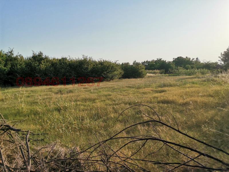 На продаж  Сюжет область Пловдив , Татарево , 1500 кв.м | 68996657 - зображення [6]
