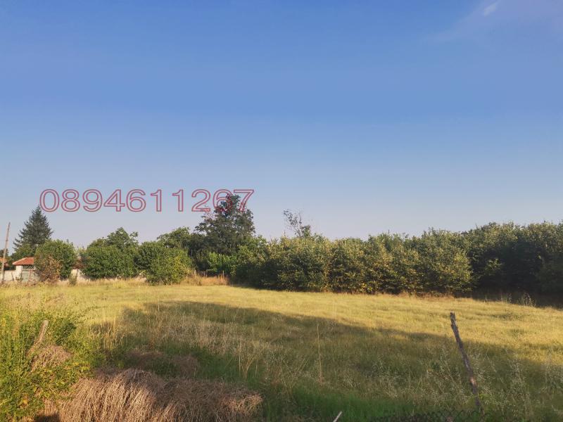 На продаж  Сюжет область Пловдив , Татарево , 1500 кв.м | 68996657 - зображення [5]