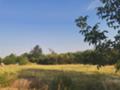 Продава ПАРЦЕЛ, с. Татарево, област Пловдив, снимка 3