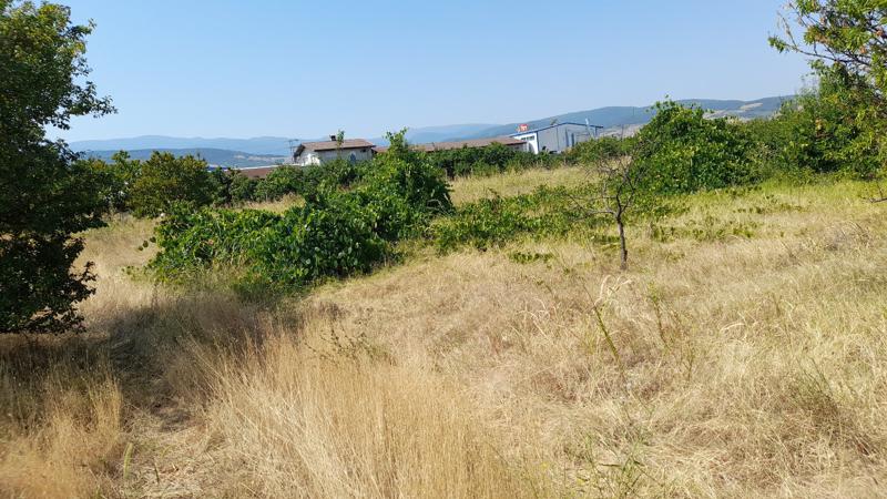 ������� ������ | Imot.bg � ����������� 3