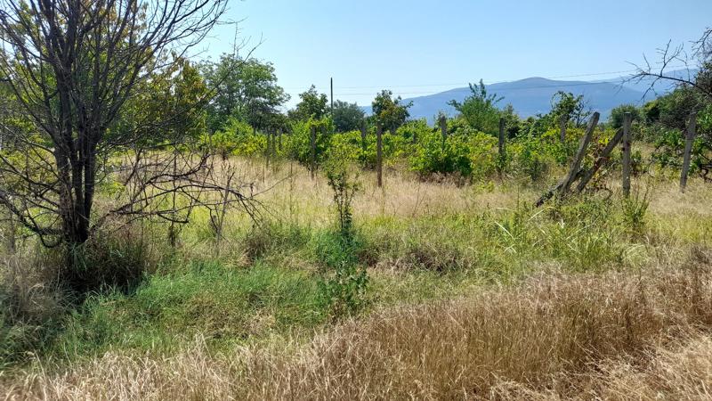 ������� ������ | Imot.bg � ����������� 2