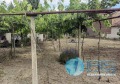 Продава КЪЩА, област Шумен, с. Велино • 120000 лв. • 36032396 — Holmes.bg