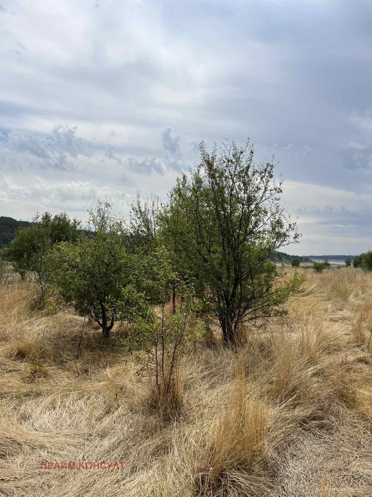 Продава ПАРЦЕЛ | Imot.bg — изображение 1