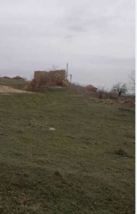 ����� ������� ������,�. ��������, ������ �������