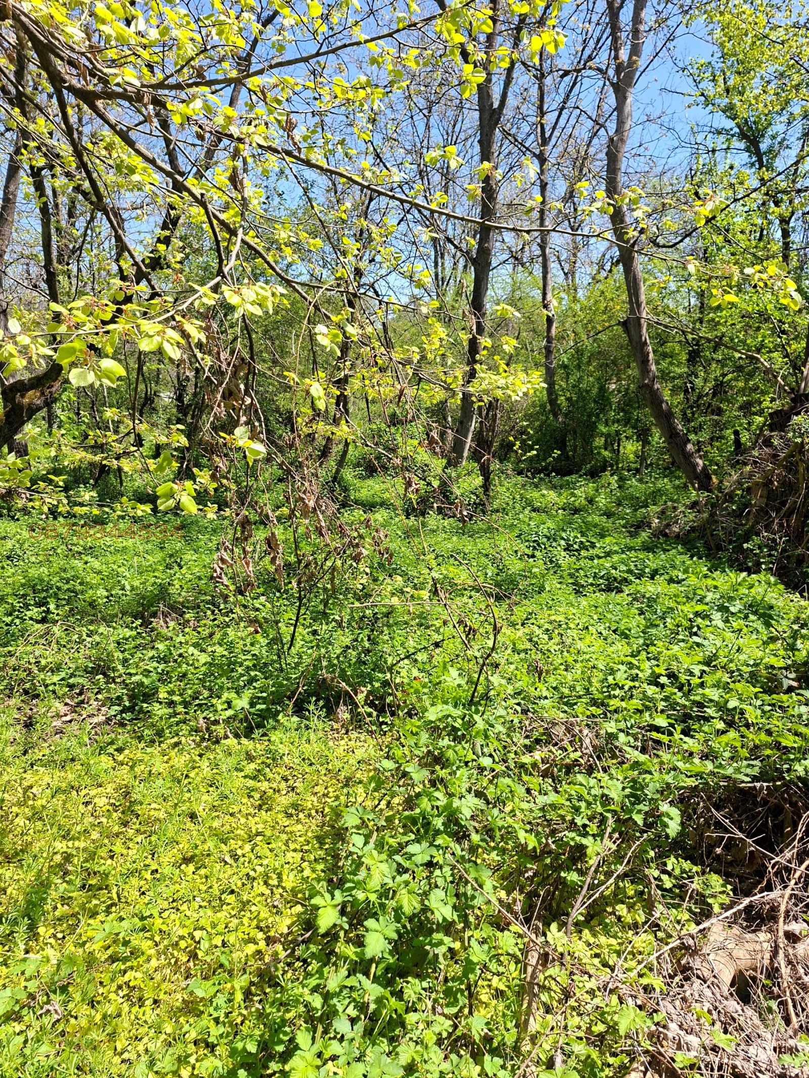 Продава КЪЩА, с. Голяма Желязна, област Ловеч, снимка 17 - Къщи - 54342778