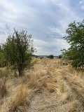 Продава ПАРЦЕЛ, област Пловдив, с. Беловица • 32000 € • 79204579 — Holmes.bg