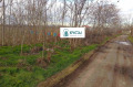Продава  Парцел област Пловдив , с. Ягодово , 916 кв.м | 71954187