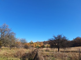 Villa Zheleznitsa, Sofia 1