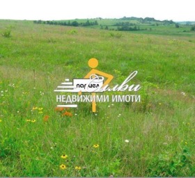 Plot Ovcharovo, region Shumen 1