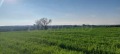 Продава ПАРЦЕЛ, Извън страната, област Извън страната, снимка 3