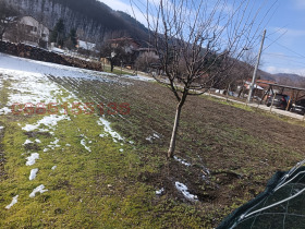 ����� ������� ������,�. ��������, ������ �����