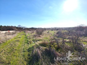 ����� ������� ������,���� �����, �-� �����������>