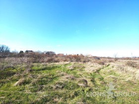 ����� ������� ������,���� �����, �-� �����������