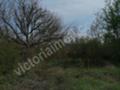 Продава ПАРЦЕЛ, с. Миндя, област Велико Търново, снимка 2