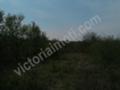 Продава ПАРЦЕЛ, с. Миндя, област Велико Търново, снимка 1