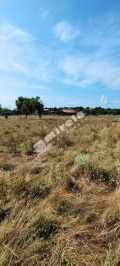 Продава  Парцел област Варна , с. Бенковски , 2114 кв.м | 38426280 - изображение [11]