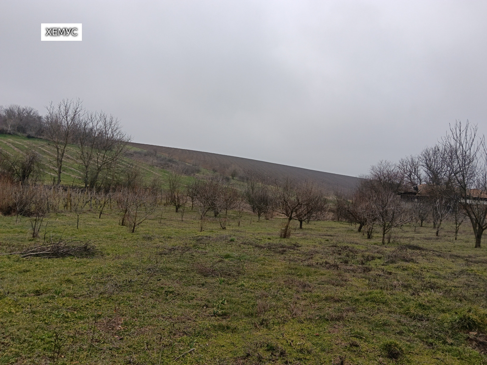 ������� ���� | Imot.bg � ����������� 17