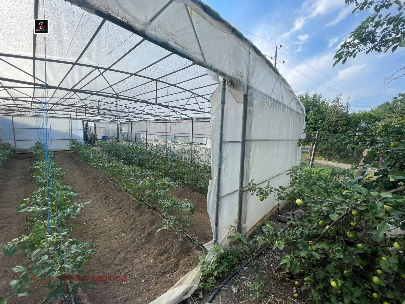 ������� ���� | Imot.bg � ����������� 13
