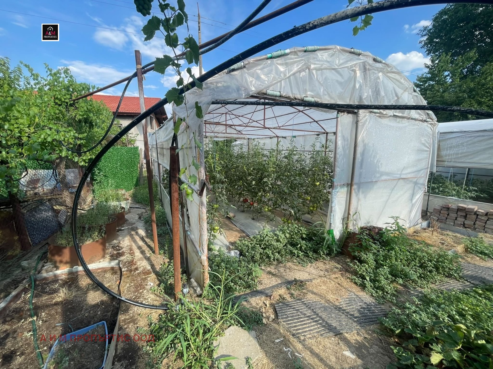 ������� ���� | Imot.bg � ����������� 14