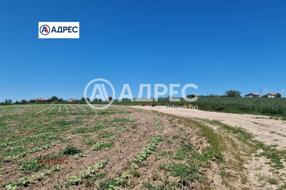 Продава ПАРЦЕЛ, с. Здравец, област Варна, снимка 2 - Парцели - 56579151
