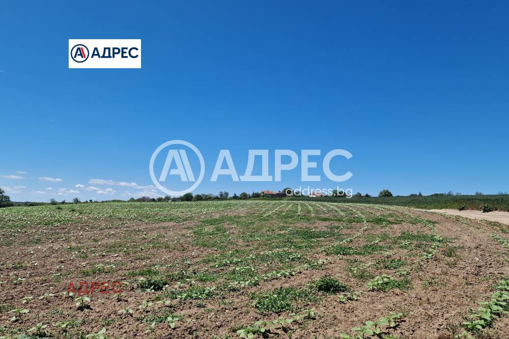 Продава ПАРЦЕЛ, с. Здравец, област Варна, снимка 3 - Парцели - 56579151