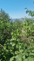 Продава ПАРЦЕЛ, гр. Варна, м-т Акчелар, снимка 3