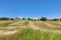 Продава ПАРЦЕЛ, с. Здравец, област Варна, снимка 1