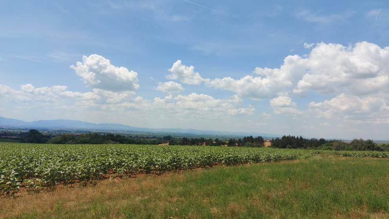 Продава ПАРЦЕЛ, гр. София, с. Войнеговци, снимка 3 - Парцели - 54053440