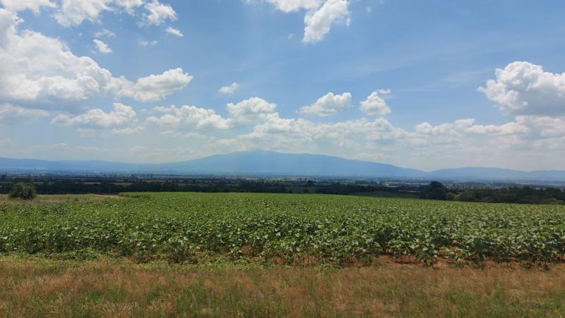 Продава ПАРЦЕЛ, гр. София, с. Войнеговци, снимка 4 - Парцели - 54053440