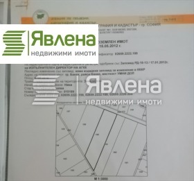 ������ ������� ������