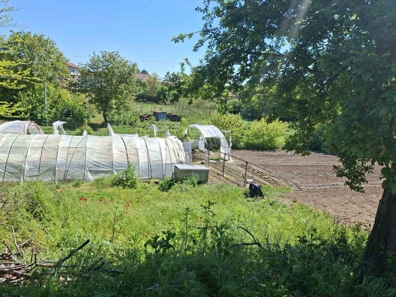 Продава КЪЩА, с. Дуранкулак, област Добрич, снимка 6 - Къщи - 55671786
