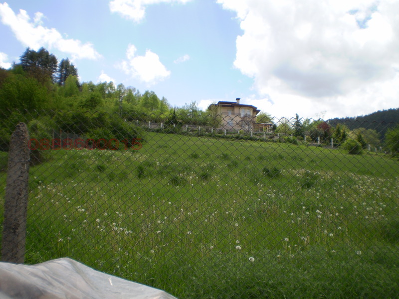 Продава ПАРЦЕЛ, гр. Девин, област Смолян, снимка 2 - Парцели - 53494028