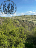 Продава КЪЩА, с. Радуй, област Перник, снимка 12