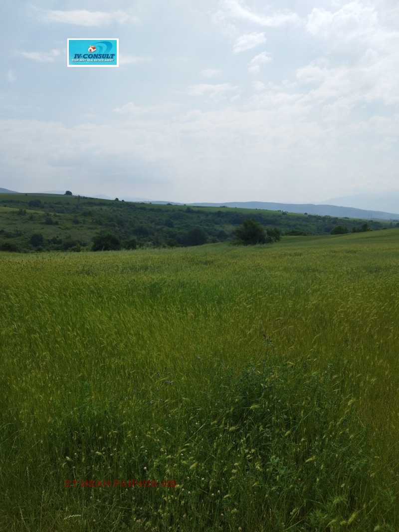 Zu verkaufen  Haus region Kjustendil , Nowoseljane , 120 qm | 91623004 - Bild [5]