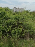 Продава ПАРЦЕЛ, гр. Шумен, м-т Под Манастира, снимка 2