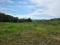 Продава ПАРЦЕЛ, с. Патрешко, област Ловеч, снимка 4