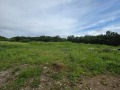 Продава ПАРЦЕЛ, с. Патрешко, област Ловеч, снимка 3