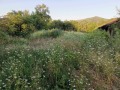 Продава КЪЩА, област Велико Търново, с. Миндя • 73000 лв. • 69600339 — Holmes.bg