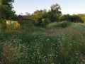 Продава КЪЩА, област Велико Търново, с. Миндя • 73000 лв. • 69600339 — Holmes.bg
