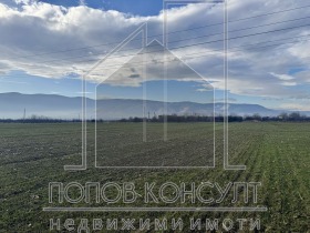 ����� ������� ������,���� �������, ������������ ���� - ��