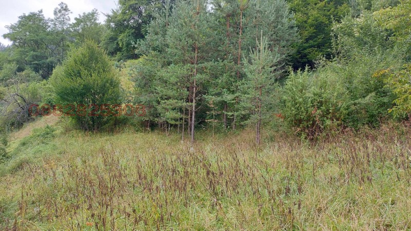 Продава ПАРЦЕЛ, с. Полковник Серафимово, област Смолян, снимка 13 - Парцели - 52784847