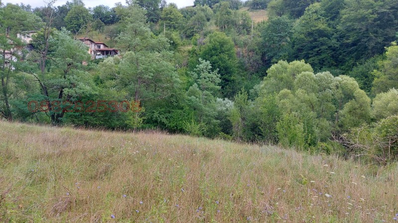 Продава ПАРЦЕЛ, с. Полковник Серафимово, област Смолян, снимка 3 - Парцели - 52784847