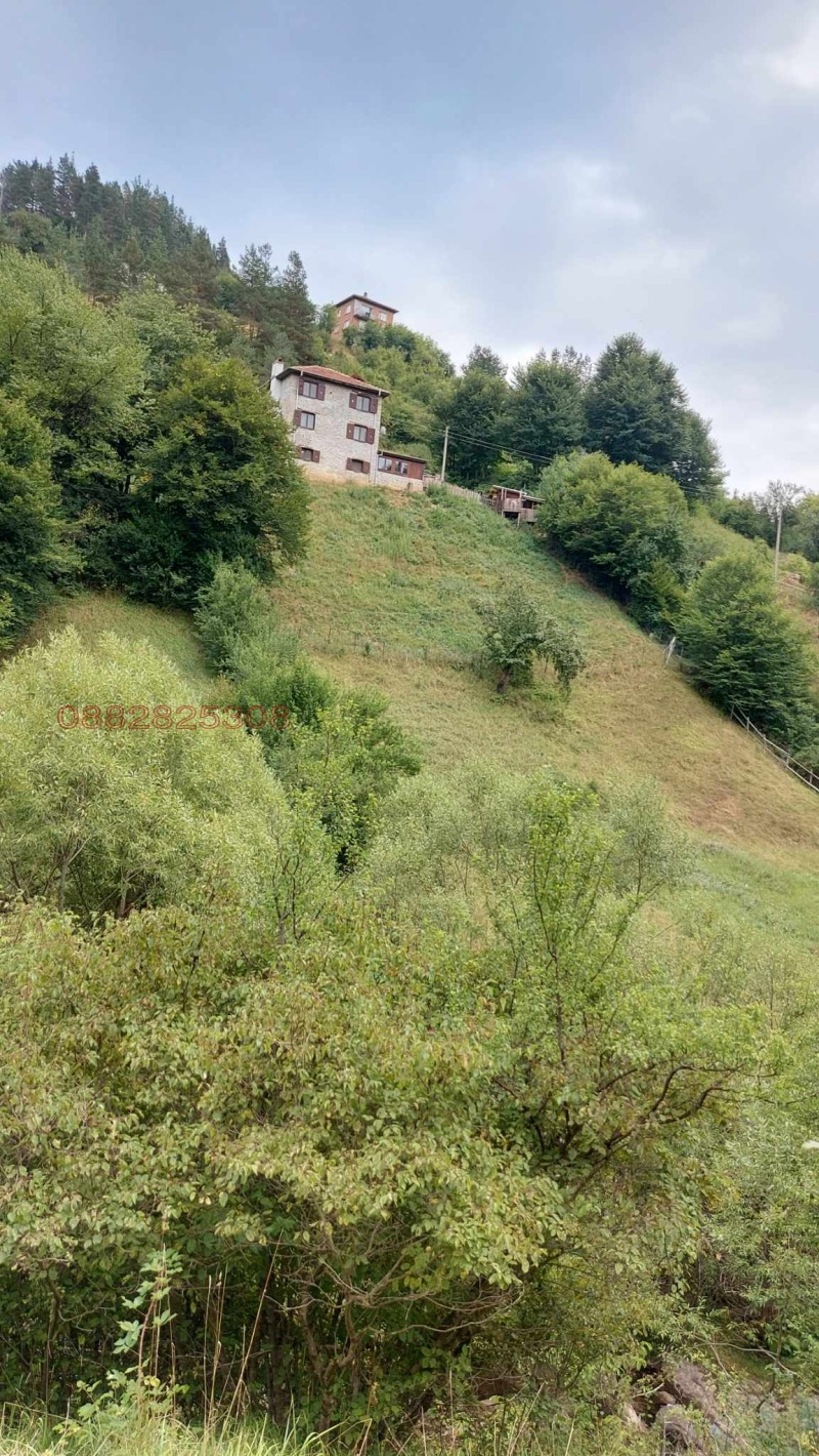 Продава ПАРЦЕЛ, с. Полковник Серафимово, област Смолян, снимка 14 - Парцели - 52784847