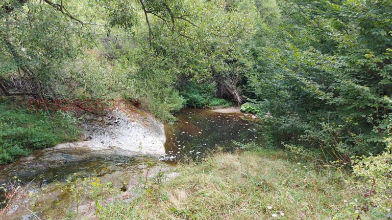 Продава ПАРЦЕЛ, с. Полковник Серафимово, област Смолян, снимка 5 - Парцели - 52784847