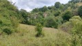 Продава ПАРЦЕЛ, с. Полковник Серафимово, област Смолян, снимка 4