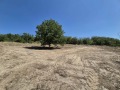 Продава ПАРЦЕЛ, област Русе, с. Басарбово • 49000 € • 51821804 — Holmes.bg